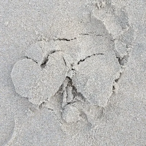 Wanneer heb je een gezonde relatie met jezelf?