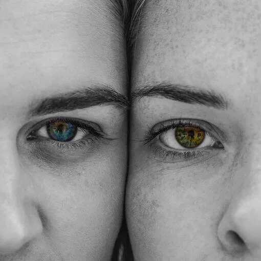 Welke ego’s zet jij in?